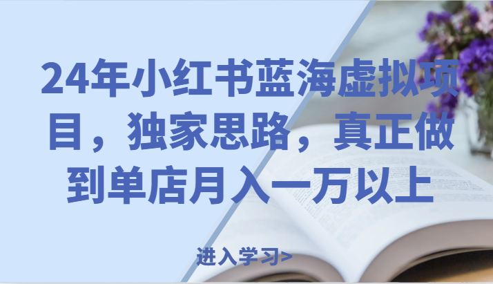24年小红书蓝海虚拟项目，独家思路，真正做到单店月入一万以上。-轻创淘金网