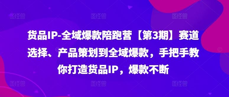 货品IP全域爆款陪跑营【第3期】赛道选择、产品策划到全域爆款，手把手教你打造货品IP，爆款不断-轻创淘金网