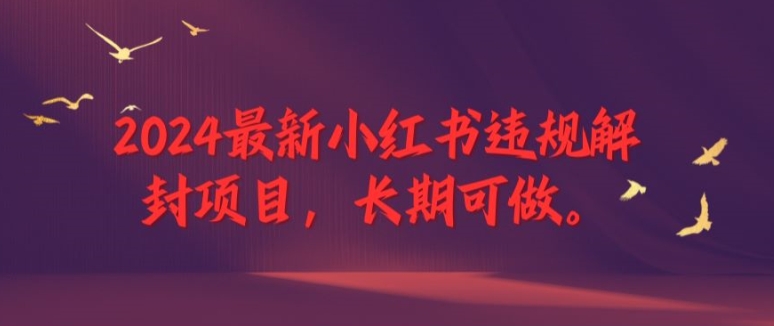 2024最新小红书违规解封项目，长期可做，一个可以做到退休的项目-轻创淘金网